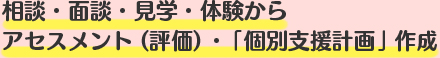 相談・面談・見学・体験からアセスメント（評価）・個別支援計画